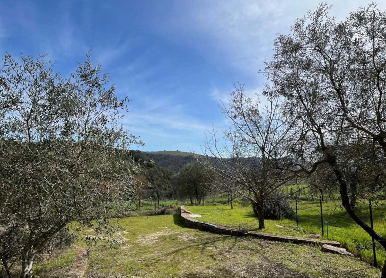 Villa Mary, Relax With Swimming Pool Poggibonsi